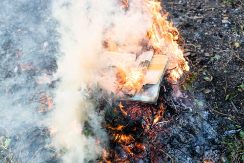 Preview: magazine burning in fire on pile of dried plants