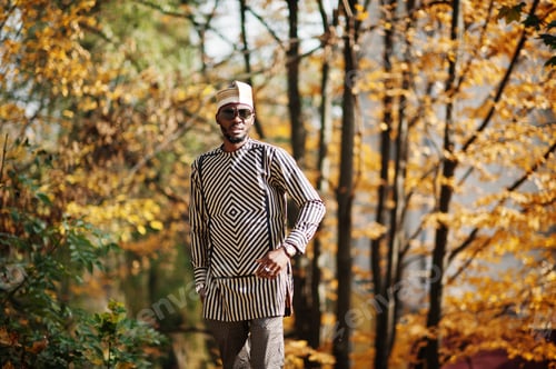 Preview: Portrait of stylish black african american man