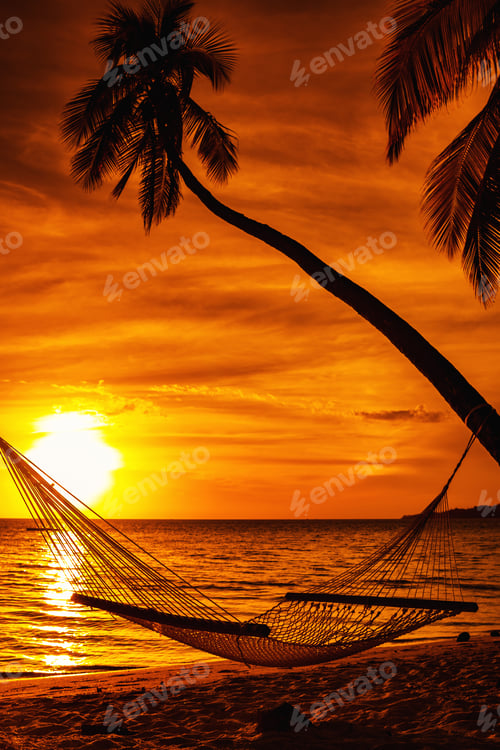 Preview: Hammock on a palm tree during beautiful sunset on tropical Fiji
