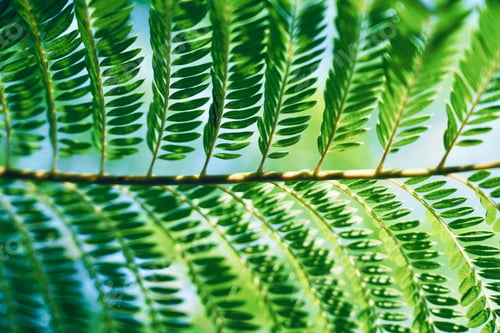 Preview: Green leaves