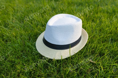 Preview: Straw hat on green grass lawn texture