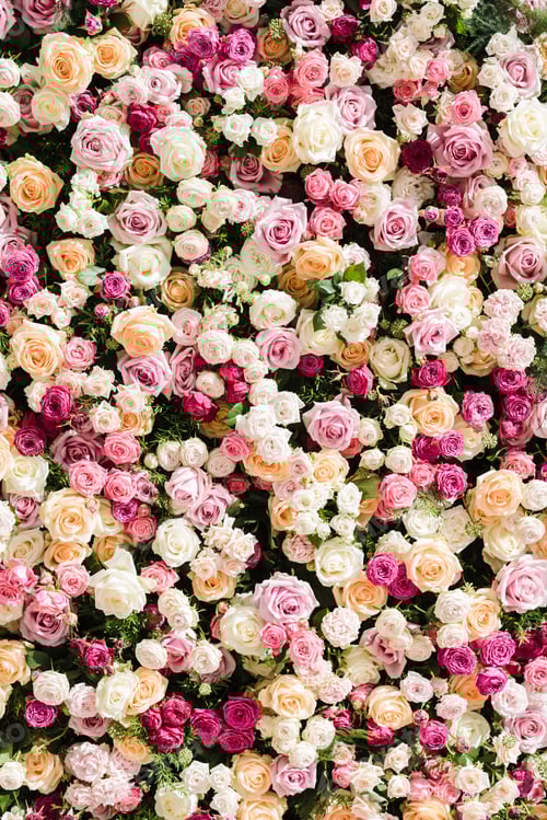Preview: Floral Wall Background with Pink, Orange, and White Roses