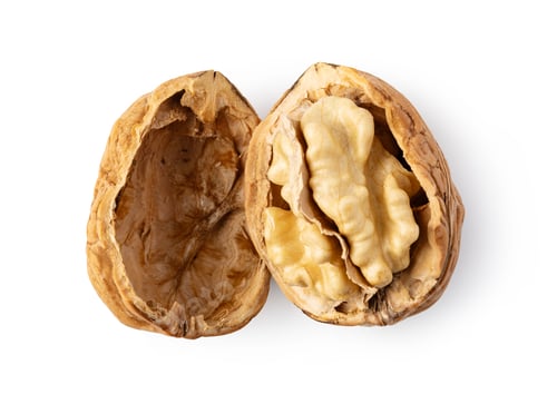 Preview: Walnut on white background