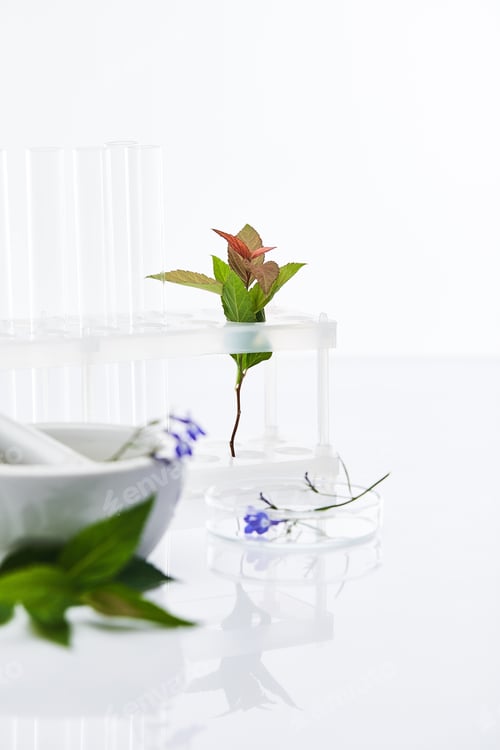 Preview: selective focus of glass test tubes, mortar with pestle near plants samples isolated on white