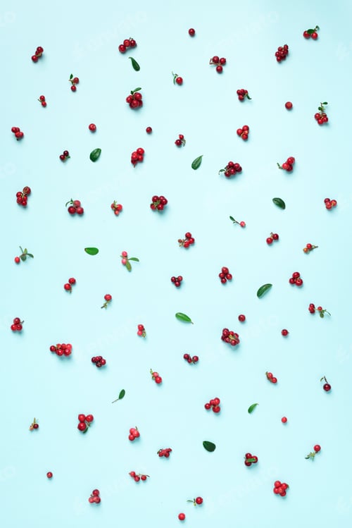 Preview: Wild lingonberry pattern on blue background. Top view. Summer berries texture.