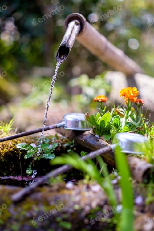 Preview: Japanese garden