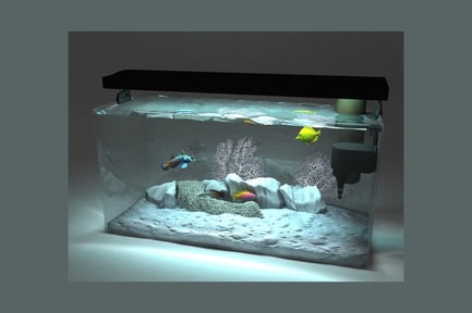Preview: Rectangular aquarium with assorted fish and coral