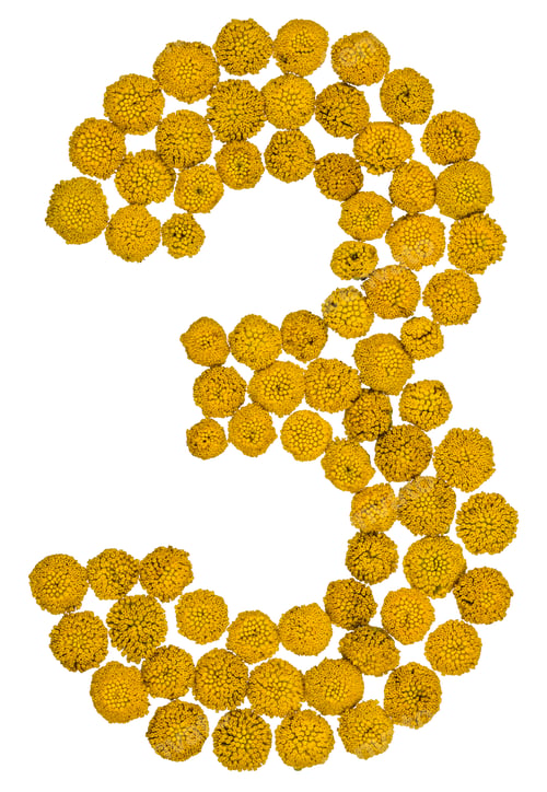 Preview: Arabic numeral 3, three, from yellow flowers of tansy, isolated on white background