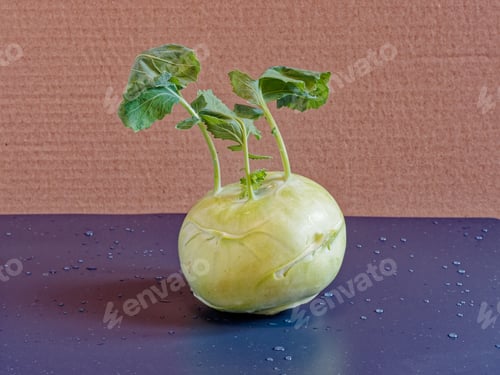 Preview: Fresh kohlrabi vegetable for healthy eating