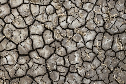 Preview: Dry soil texture