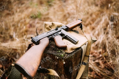 Preview: American Submachine Weapon Of World War II On Forest Stump