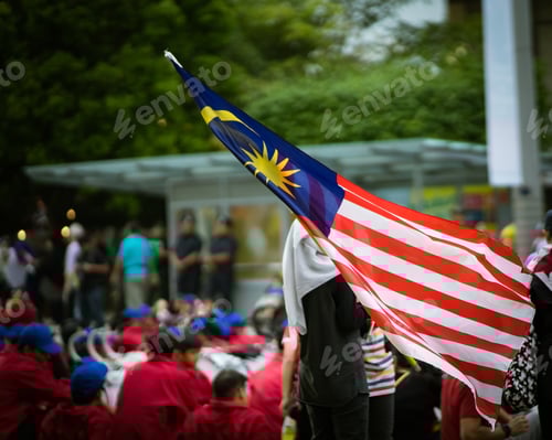 Preview: People Holding a Flag in a Public Gathering
