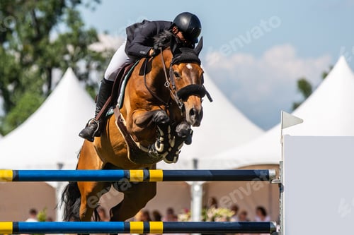Preview: Horse Jumping, Equestrian Sports, Show Jumping themed photo.
