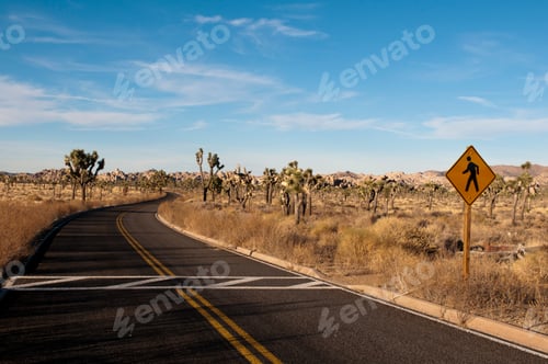 Preview: Road through Joshua Tree National Park, California, USA