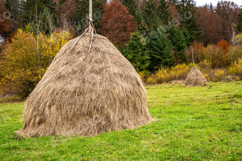 Preview: A large number of haystacks in a green meadow with cloudy weather