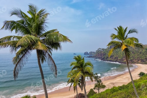 Preview: Aerial top view on tropical beach with green palm trees under sunlight Drone view in Goa