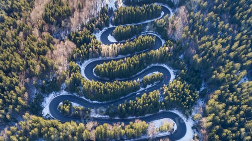 Preview: curved road trough the forest