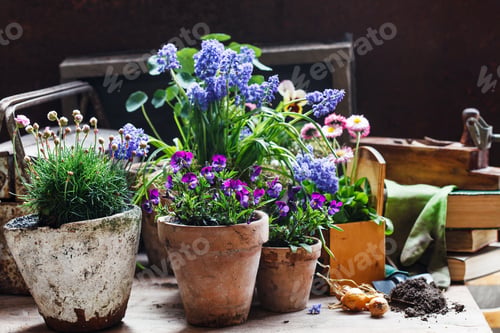 Preview: Spring Flowers