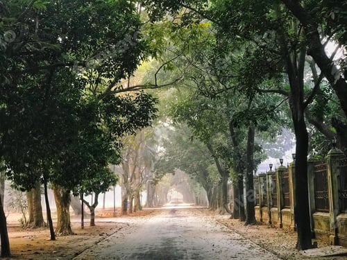 Preview: Open road inside park