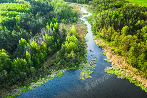 Preview: Green forest and blue lake in summer, aerial view