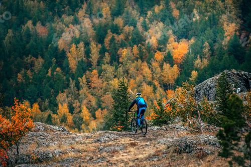 Preview: Male Cyclist