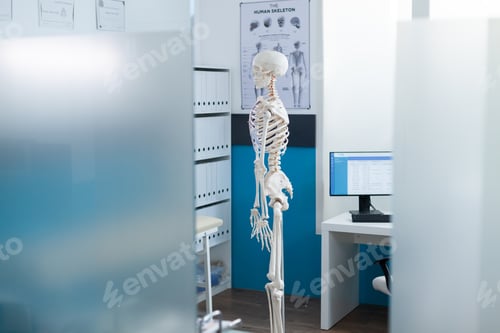 Preview: Side view of human skeleton model standing in empty hospital office