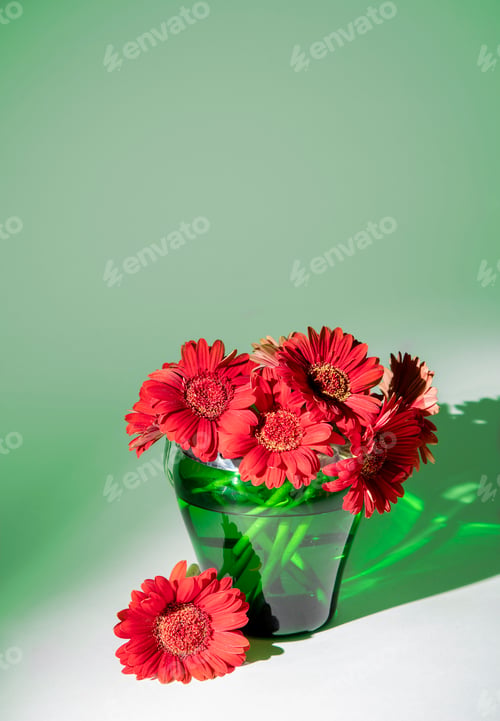 Preview: bright red gerberas in green vase in the rays of multi-colored color still life