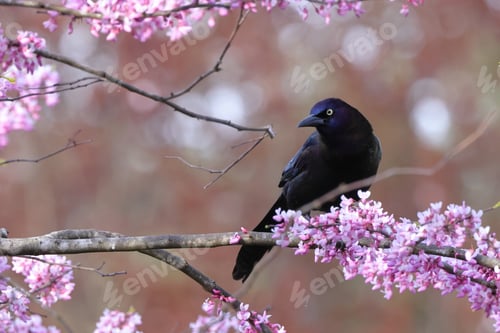 Preview: Tiny bird perched on pink flowers and stems