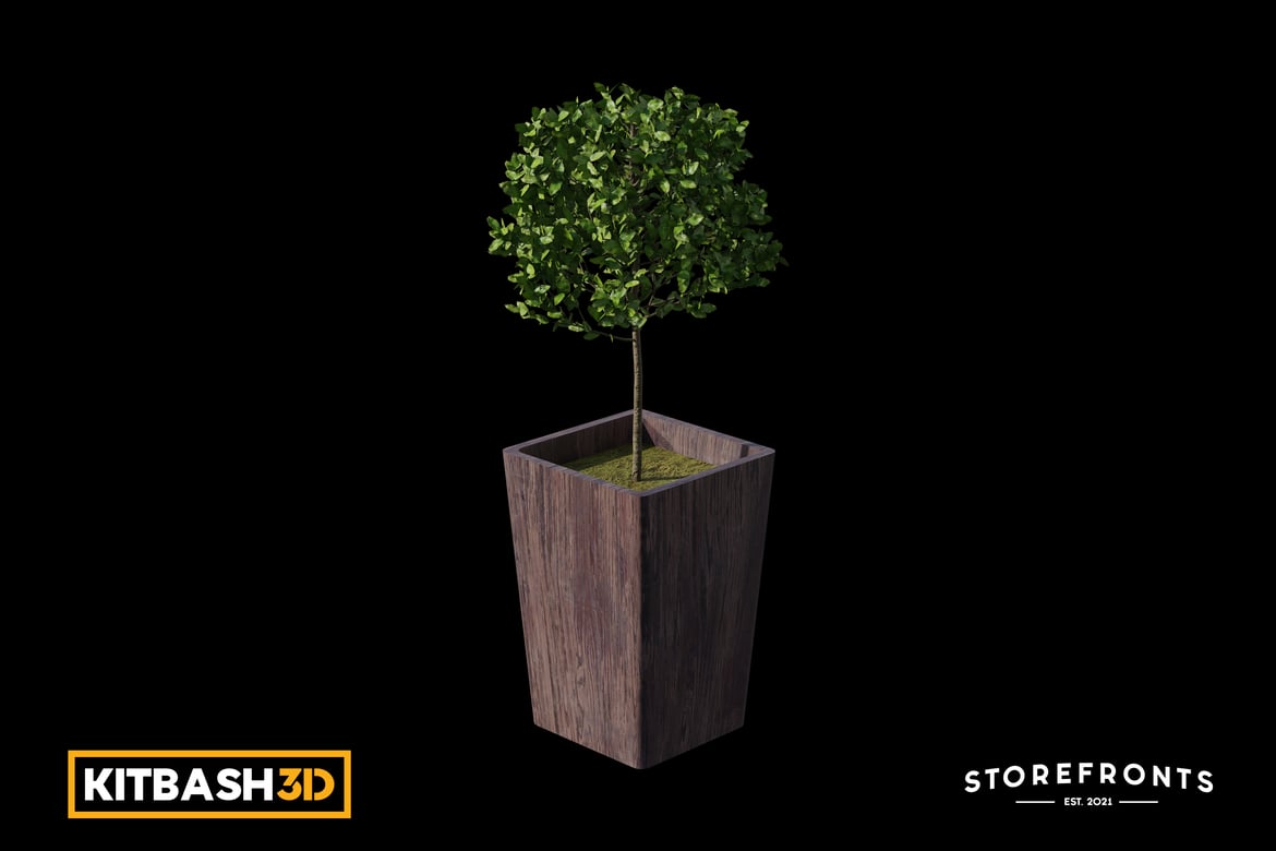 Kitbash: Storefronts - Potted Small Tree 3D, Incl. bush & tree - Envato