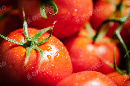 Preview: Fresh tomatoes macro.