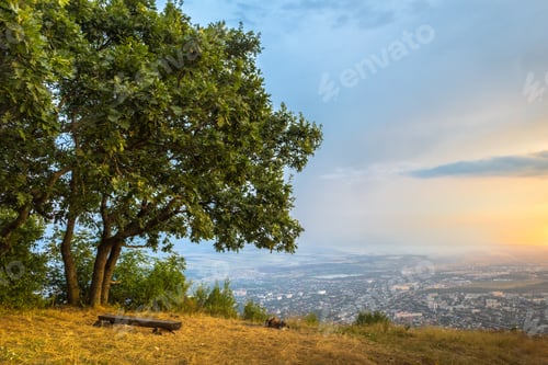 Preview: Bench, tree and view on the city from a hill