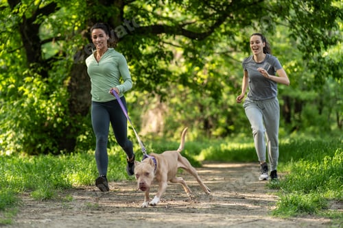 Preview: Jogging with dog