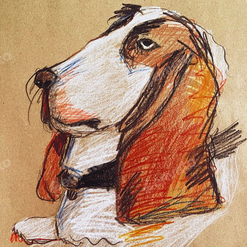 Preview: Cute Basset Hound dog drawing