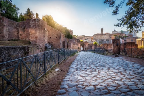 Preview: View of Forum of Rome a sunny summer day in Rome