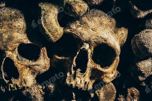 Preview: Closeup shot of damaged weathered creepy human skulls and bones