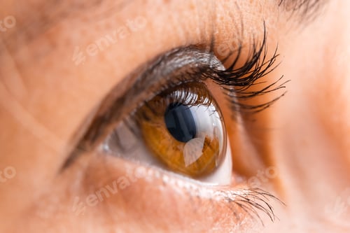Preview: Close up of brown eye with painted eyelashes