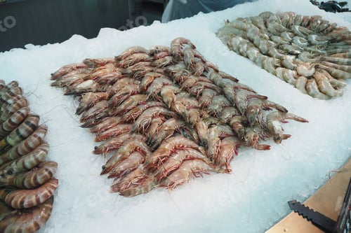 Preview: Fresh seafood market display of shrimp and prawns on ice