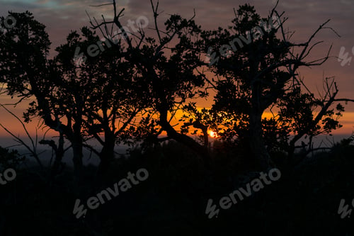 Preview: sunset in portugal