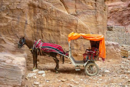 Preview: Petra donkey transport