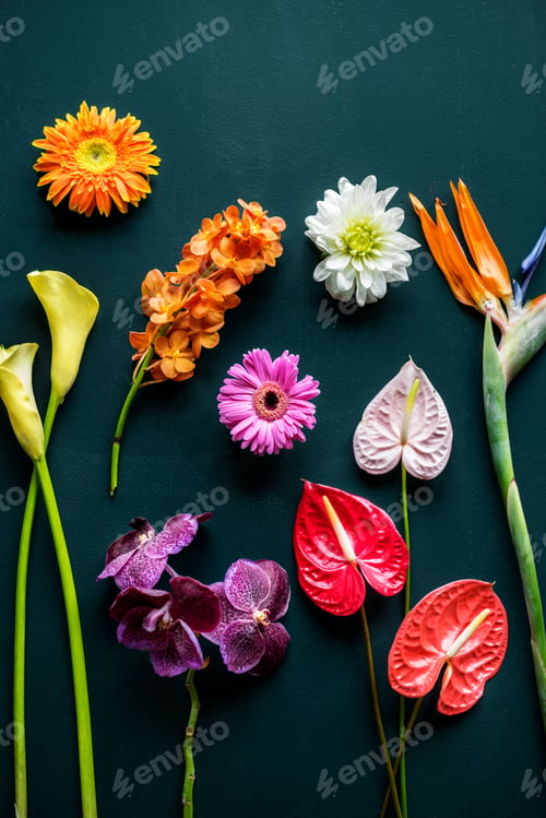 Preview: Floral leaves romance decoration freshness lush