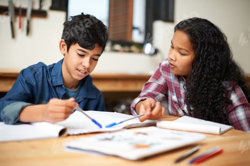 Preview: Growing through a good education. Shot of two young students studying together in a classroom.