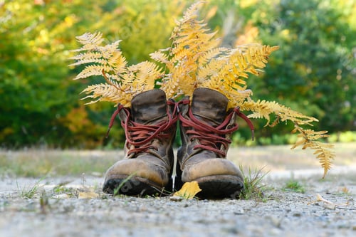 Preview: Hiking boots with yellow leaves on the ground