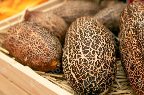 Preview: harvest of melons in a wooden box in the garden