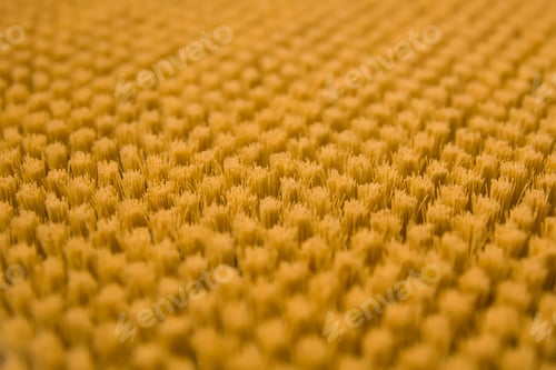Preview: Yellow brushes