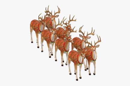 Preview: Festive Reindeer Team with Christmas Harness