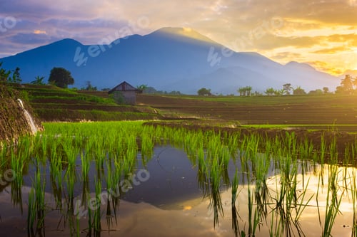 Preview: beautiful morning view from Indonesia of mountains and tropical forest