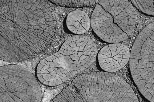 Preview: Wooden Pavement With Abstract Texture Of A Wooden Cut