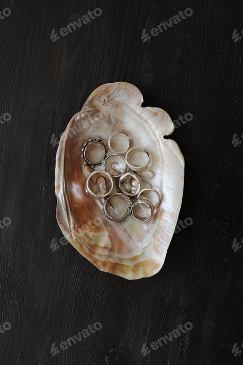 Preview: Silver Rings In Seashell