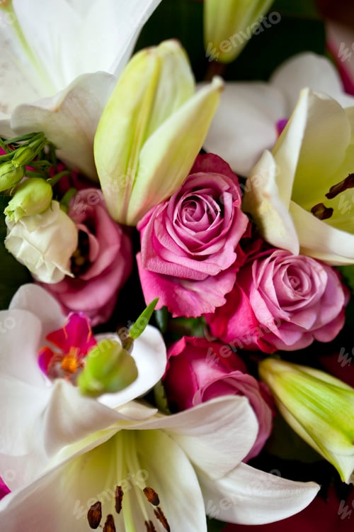 Preview: Flowers