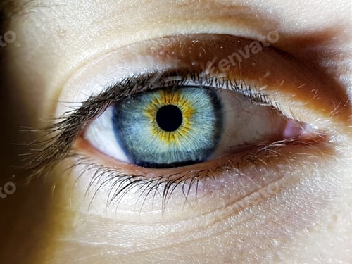 Preview: Beautiful macro closeup shot of a female human's deep eyes